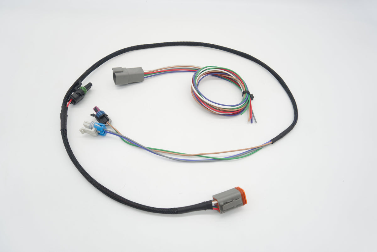 T56 Magnum Transmission Wire Harness | ASE