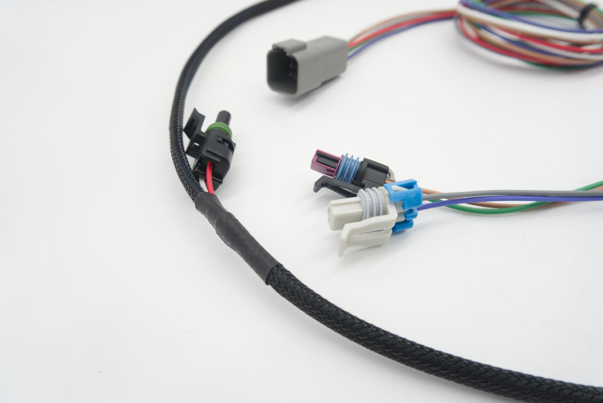 T56 Magnum Transmission Wire Harness | ASE