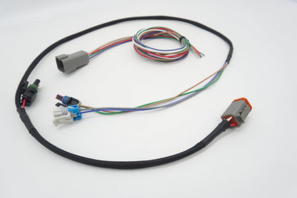 T56 Magnum Transmission Wire Harness | ASE