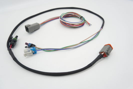 T56 Magnum Transmission Wire Harness | ASE